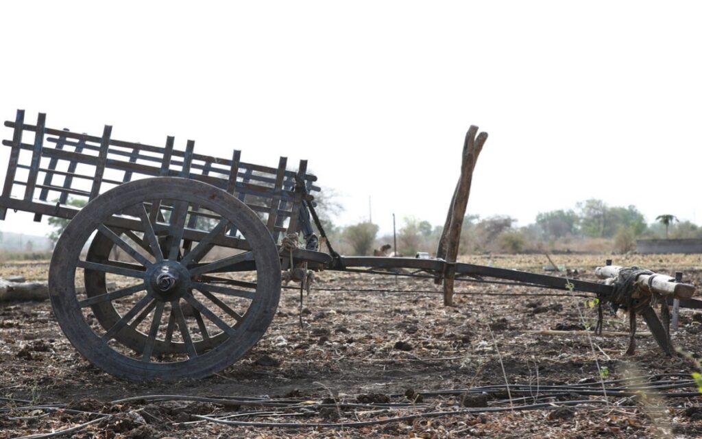 Bullock Cart