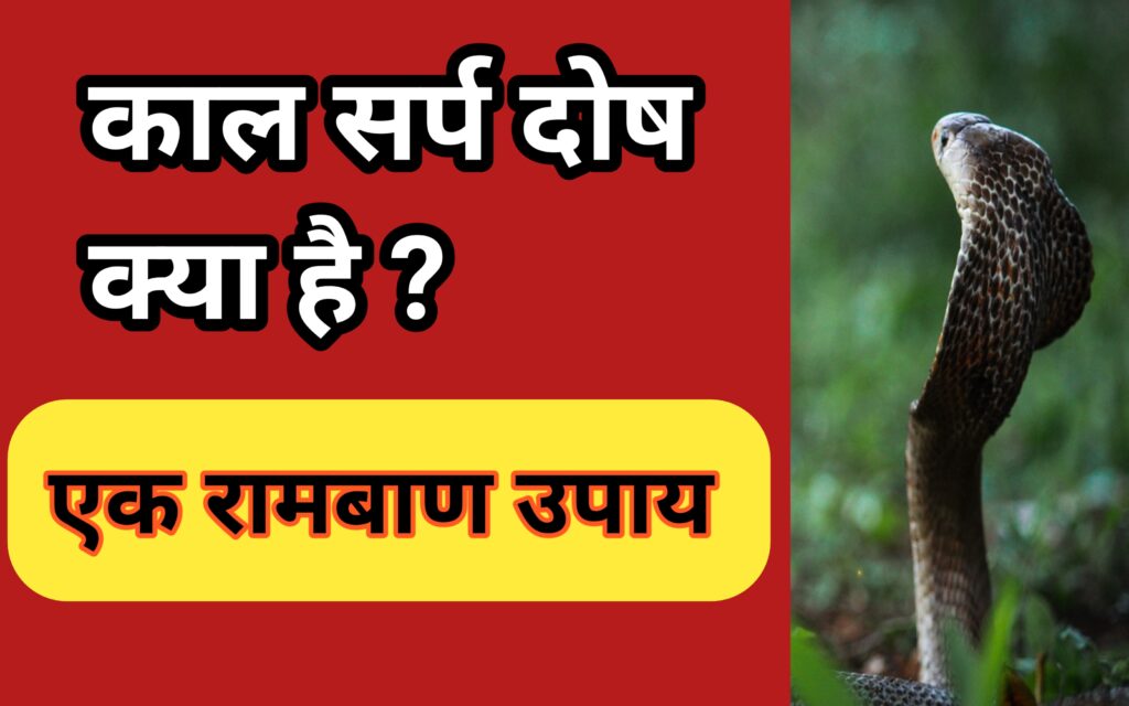 Kaal Sarp Dosh एक रामबाण उपाय