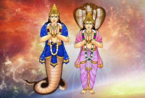 9 गृह के नाम : राहू केतू
